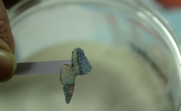 [butterfly powder[6].jpg]