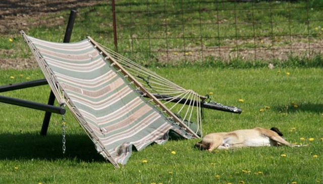 [Jack Hammock 1[5].jpg]