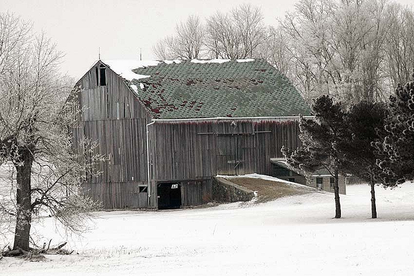 [Hoarfrost 1-26-11 barn BW barn color[6].jpg]