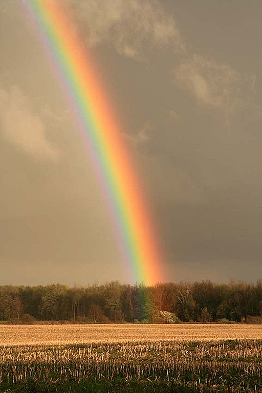 [Rainbow3[7].jpg]