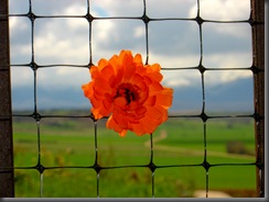 IMG_0214 IMG_0214
