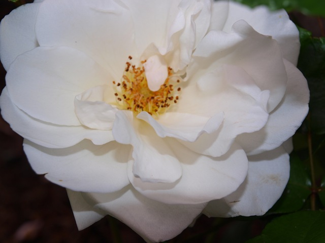 [P71102114.jpg]
