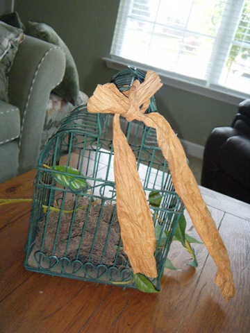 [before birdcage[3].jpg]