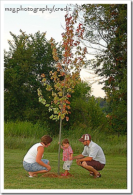 duncan's tree