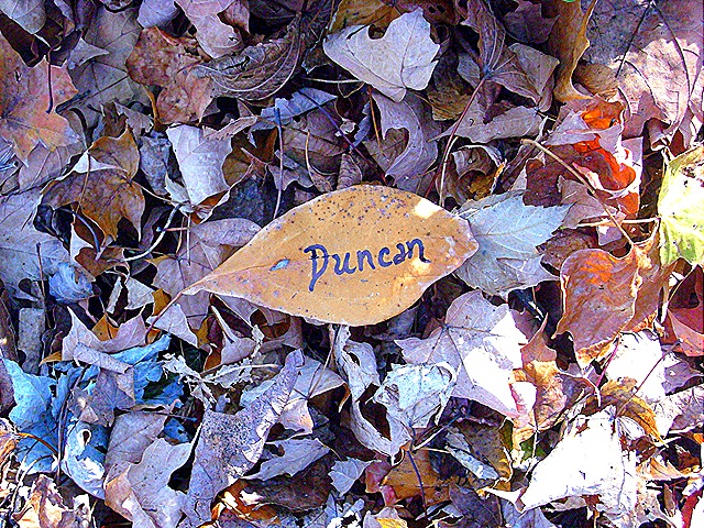 [duncan's leaf from Holly[6].jpg]