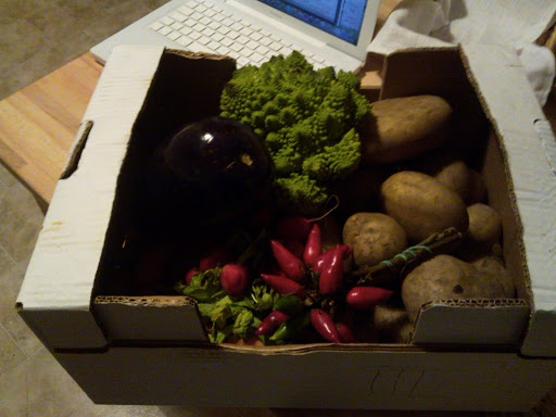 2009-11-27 18.30.17.jpg