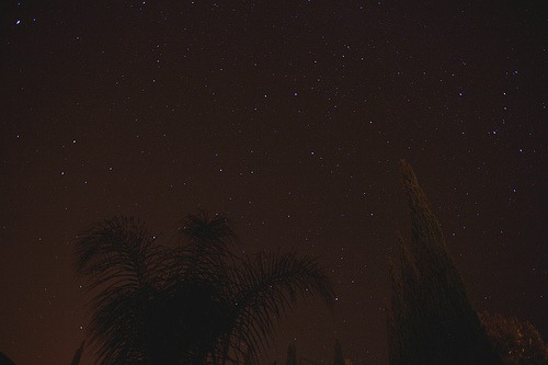 [starry night[3].jpg]
