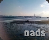P1818[01]_13-02-10