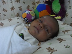 RIMG0097