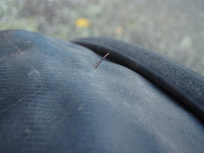 One of the thorns