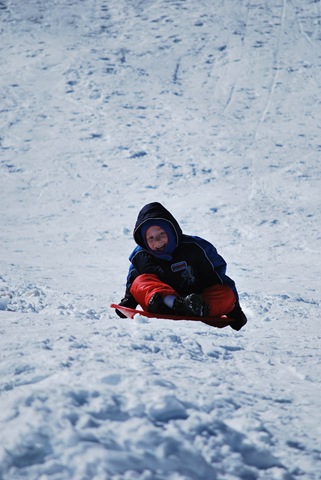 [DSC_0021[7].jpg]