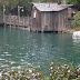 SDC10037.JPG