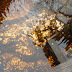SDC10048.JPG
