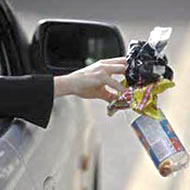 Car Litter