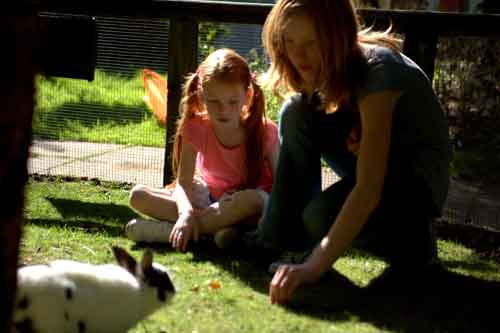 Be a Junior Zookeeper at Wiliamson Park, lancaster this summer