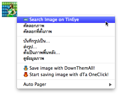 Search image with TinEye