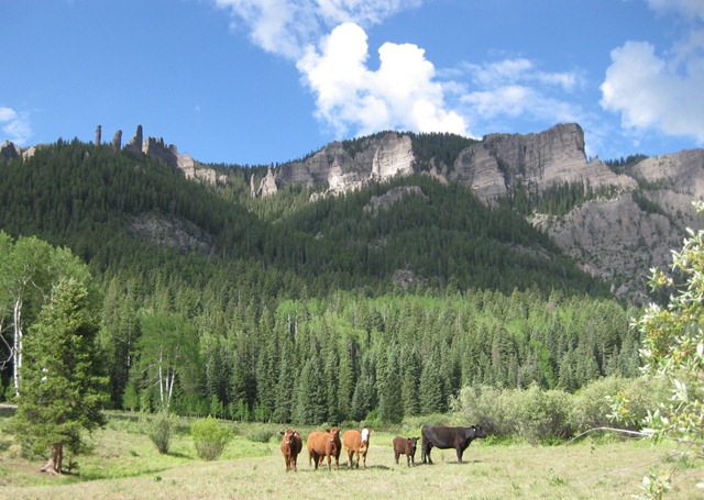 [west elk backpacking 133[4].jpg]