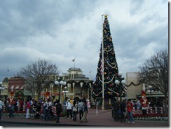 DSCF6691 DSCF6691