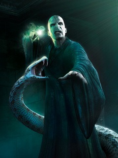 [lord-Voldemort-wallpapers[3].jpg]