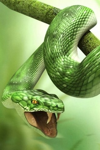 [mobile-wallpapers[2].jpg]
