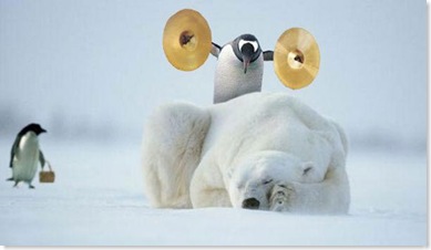 polar_bear