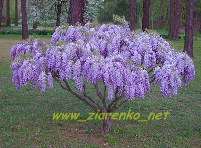 http://lh6.ggpht.com/_Sk1BvEVaxbs/S5fsCZjp_5I/AAAAAAAAA7s/cxwbPEZCU94/07e5830133df9370.jpg