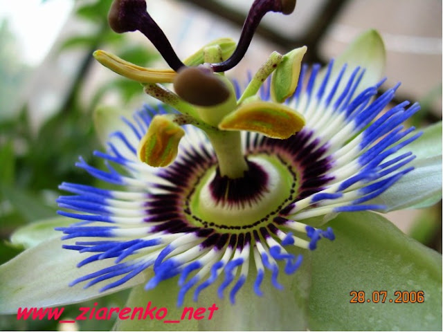 http://lh6.ggpht.com/_Sk1BvEVaxbs/S5ftFRRVdZI/AAAAAAAAA-4/HRjaoCw3Ztc/s640/2112456430082016775RjRnJf_fs%20%5B%5D.jpg