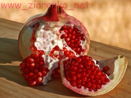 Granatowiec właściwy Punica granatum