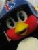 東京ヤクルトスワローズ