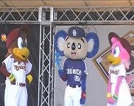 2009年6月11日【交流戦】