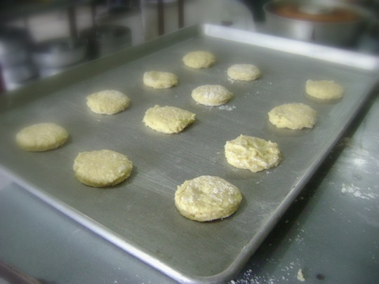 [sconeonbakingtray2.jpg]