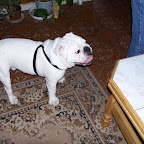 100_3427.JPG