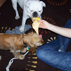 100_3417.JPG