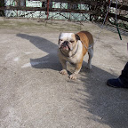100_3426.JPG