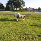 DSC00414.JPG