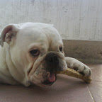 DSC00344.JPG