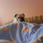 DSC00345.JPG