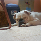 DSC00357.JPG