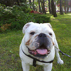 DSC00447.JPG