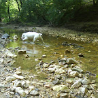 DSC00576.JPG