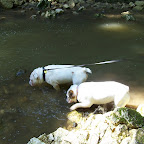100_4198.JPG