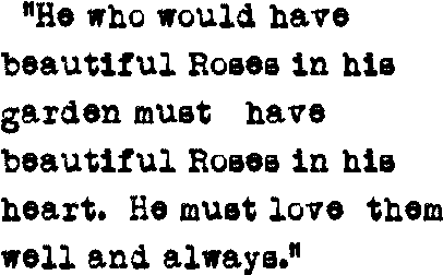 TEXT2_ROSE TEXT2_ROSE
