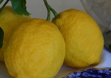 lemon5 lemon5