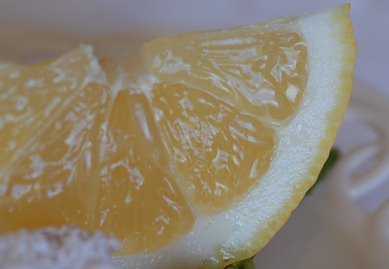 lemon4 lemon4