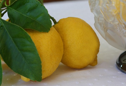 lemon8 lemon8