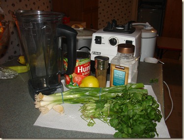 vitamix