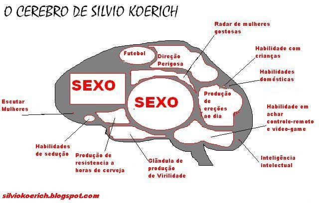 [Cerebro Silvio[6].jpg]