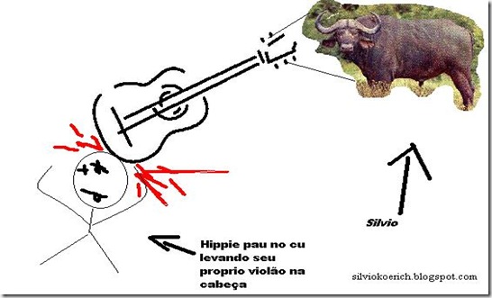rodinhaviolao