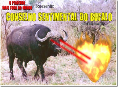 CONSELHO