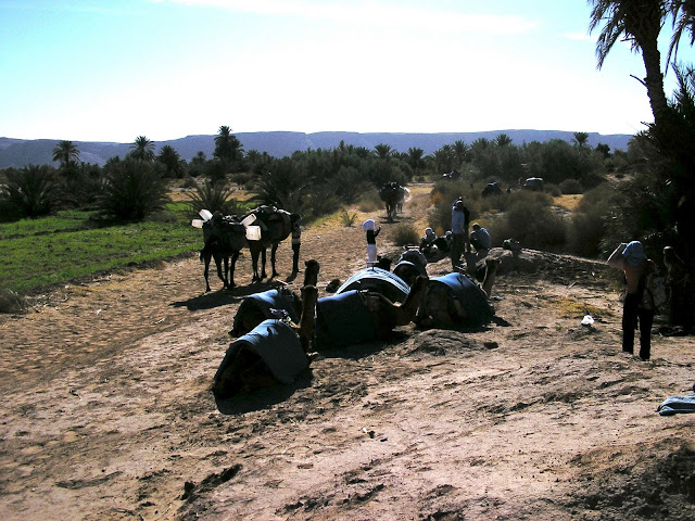 Taking a break near an oasis